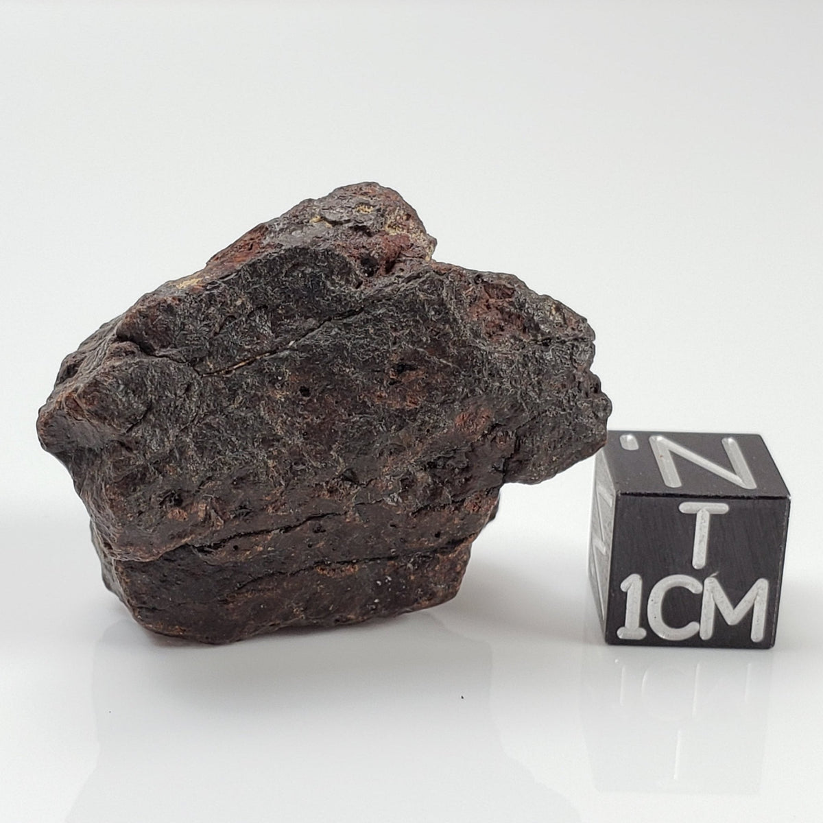  Dhofar 221 Meteorite | 20.82 Grams | Individual | L5 Shocked Chondrite | Sahara 