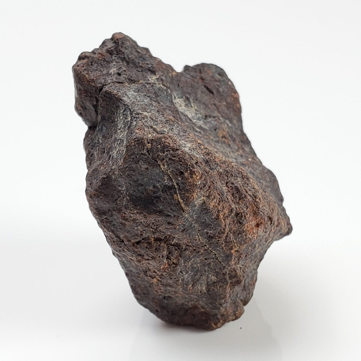  Dhofar 221 Meteorite | 20.82 Grams | Individual | L5 Shocked Chondrite | Sahara 2