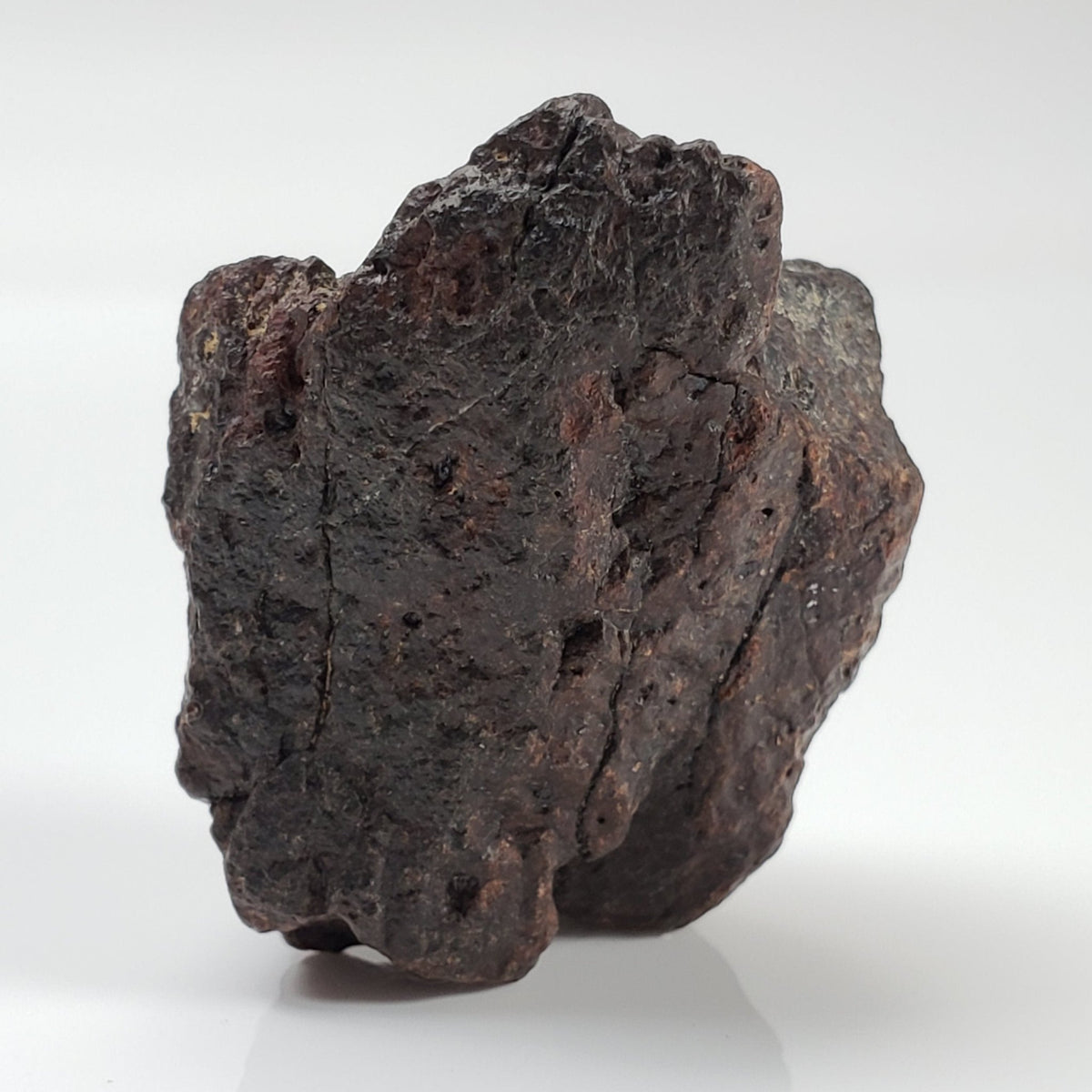  Dhofar 221 Meteorite | 20.82 Grams | Individual | L5 Shocked Chondrite | Sahara 4