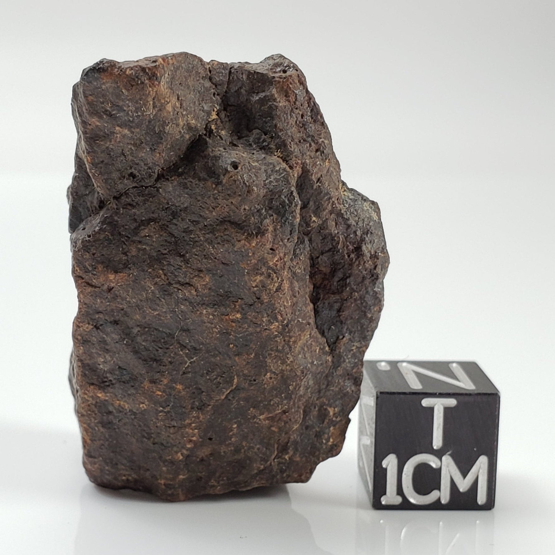  Dhofar 221 Meteorite | 26.71 Grams | Individual | L5 Shocked Chondrite | Sahara | SO24 