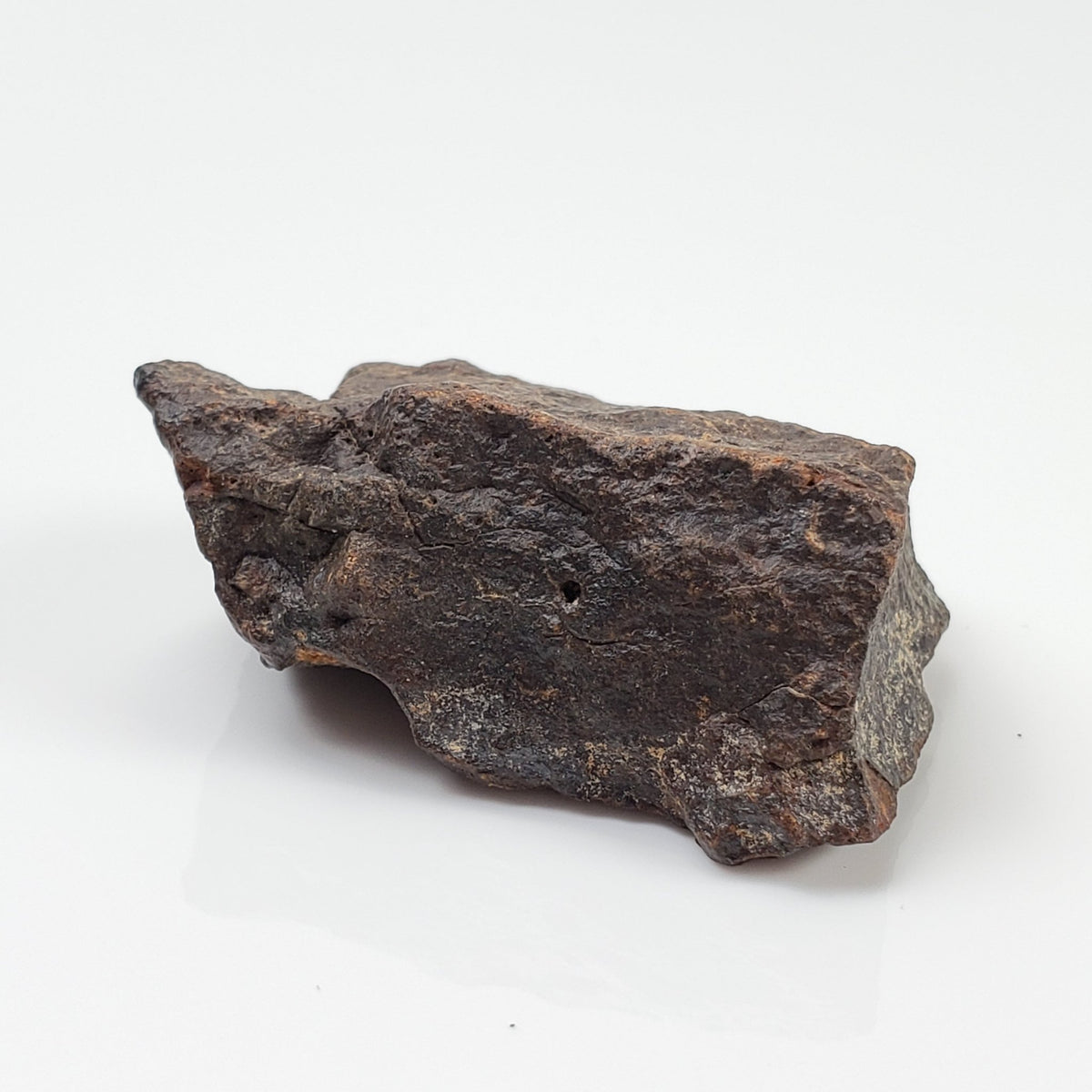  Dhofar 221 Meteorite | 26.71 Grams | Individual | L5 Shocked Chondrite | Sahara | SO24 4