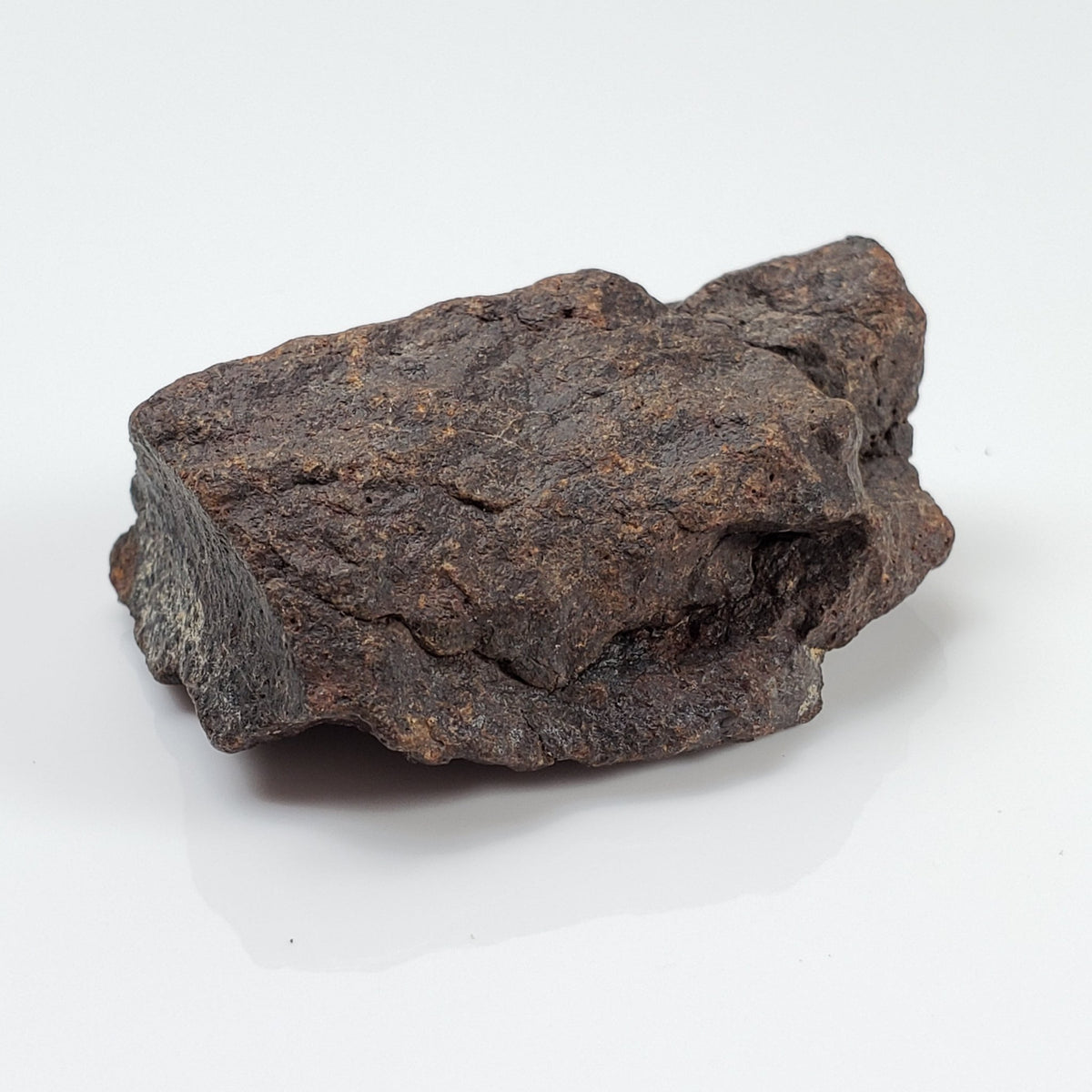  Dhofar 221 Meteorite | 26.71 Grams | Individual | L5 Shocked Chondrite | Sahara | SO24 5