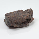  Dhofar 221 Meteorite | 26.71 Grams | Individual | L5 Shocked Chondrite | Sahara | SO24 5