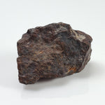  Dhofar 221 Meteorite | 26.71 Grams | Individual | L5 Shocked Chondrite | Sahara | SO24 6