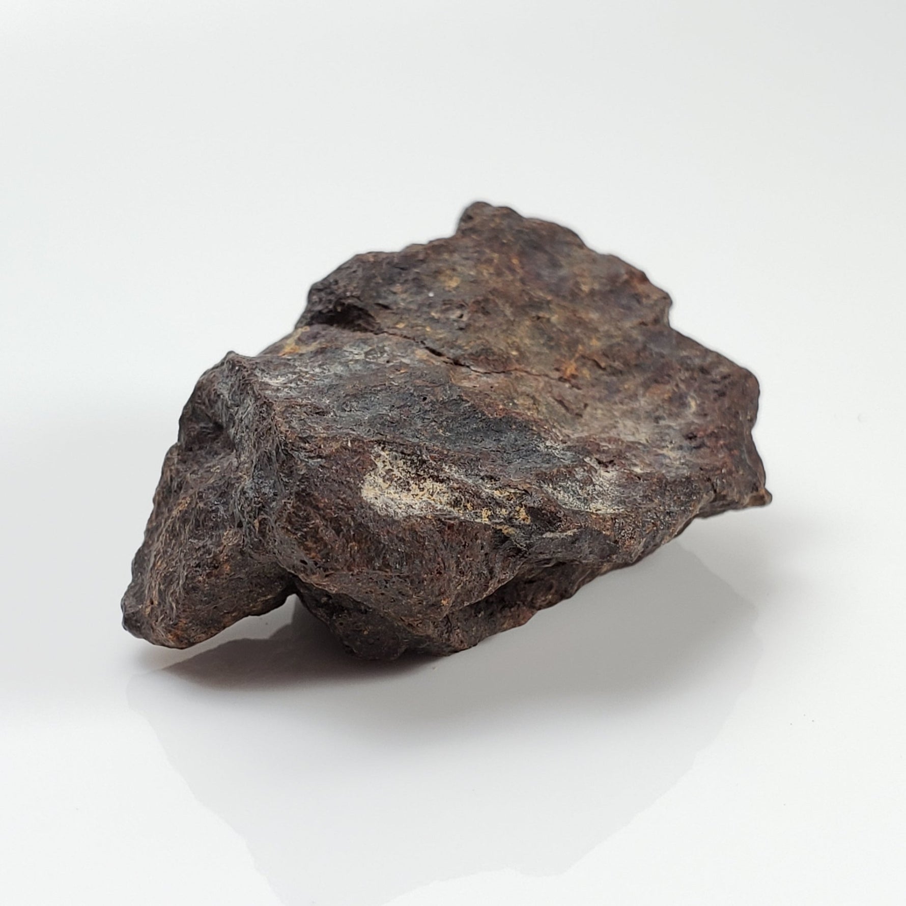  Dhofar 221 Meteorite | 26.71 Grams | Individual | L5 Shocked Chondrite | Sahara | SO24 8
