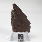  Dhofar 224 Meteorite | 23.11 Grams | Full Slice | Rare H4 Chondrite | Sahara 