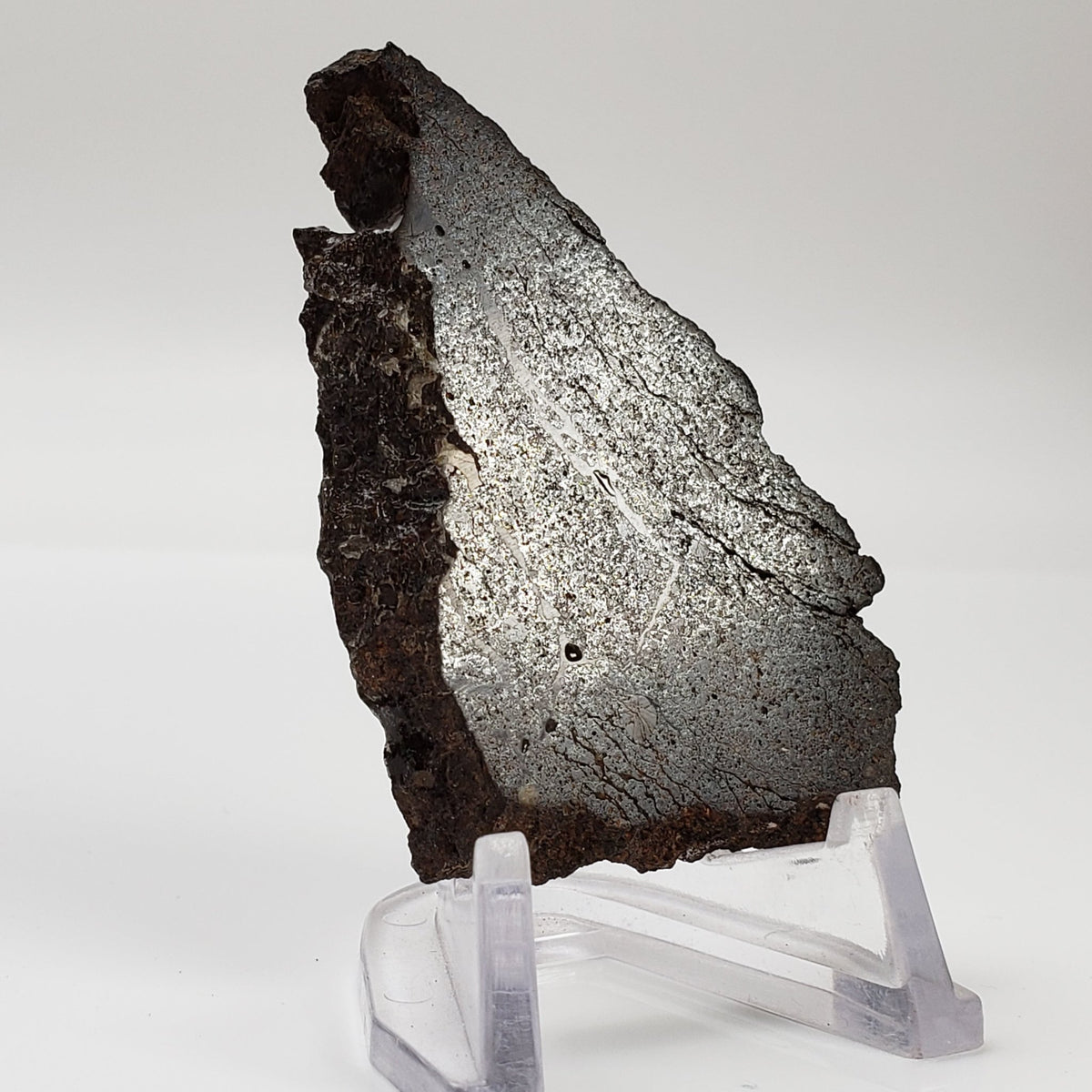  Dhofar 224 Meteorite | 23.11 Grams | Full Slice | Rare H4 Chondrite | Sahara 1
