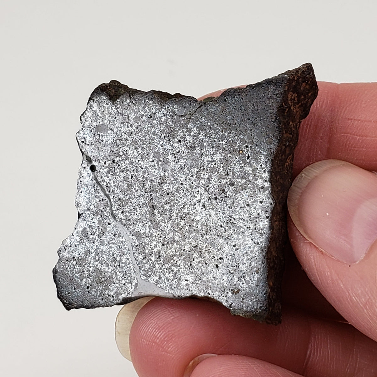  Dhofar 224 Meteorite | 23.2 Grams | Slice | Rare H4 Chondrite | Sahara 5