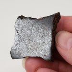  Dhofar 224 Meteorite | 23.2 Grams | Slice | Rare H4 Chondrite | Sahara 5