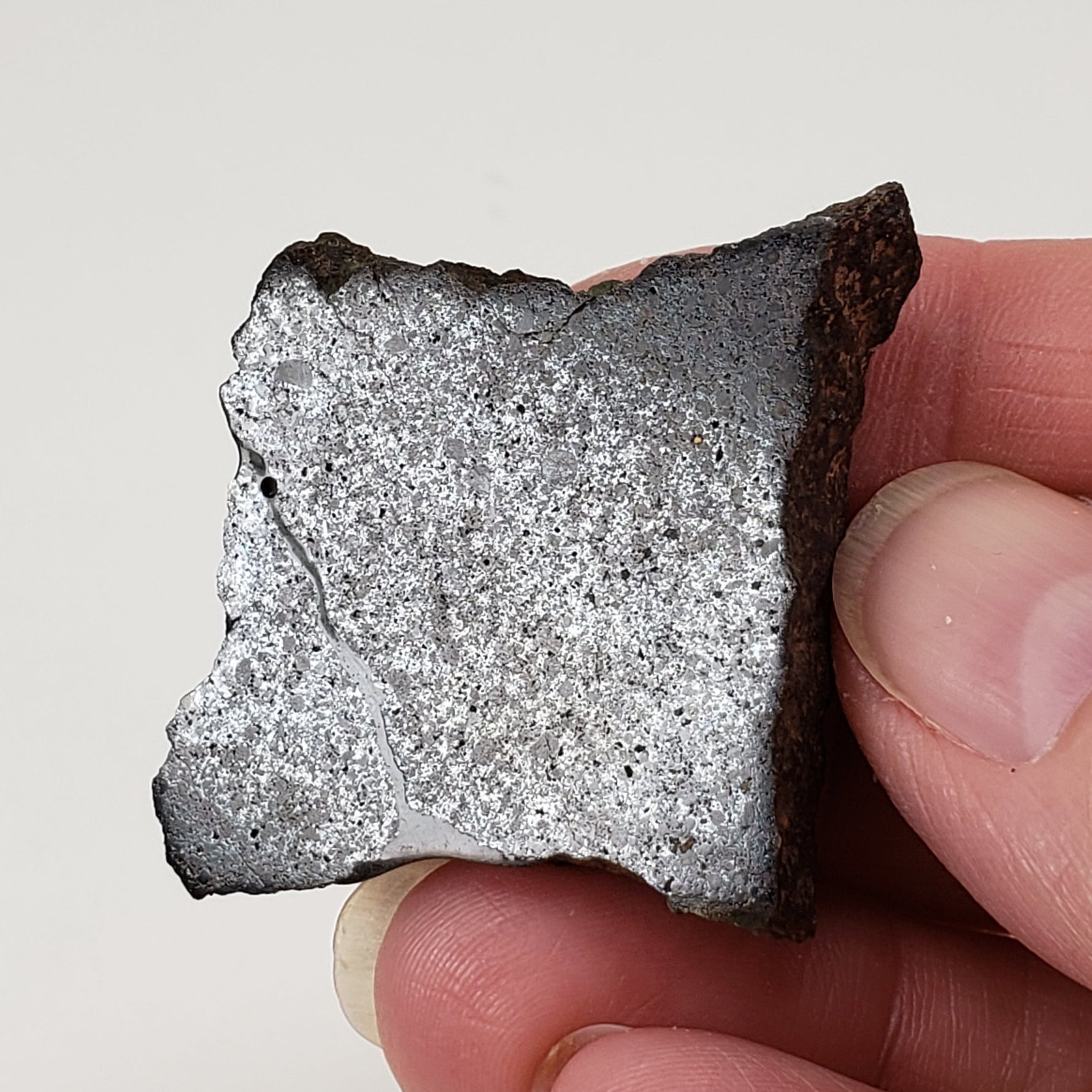  Dhofar 224 Meteorite | 23.2 Grams | Slice | Rare H4 Chondrite | Sahara 5