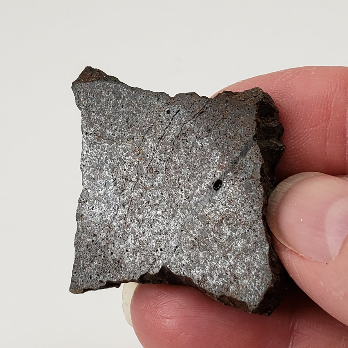  Dhofar 224 Meteorite | 23.2 Grams | Slice | Rare H4 Chondrite | Sahara 6