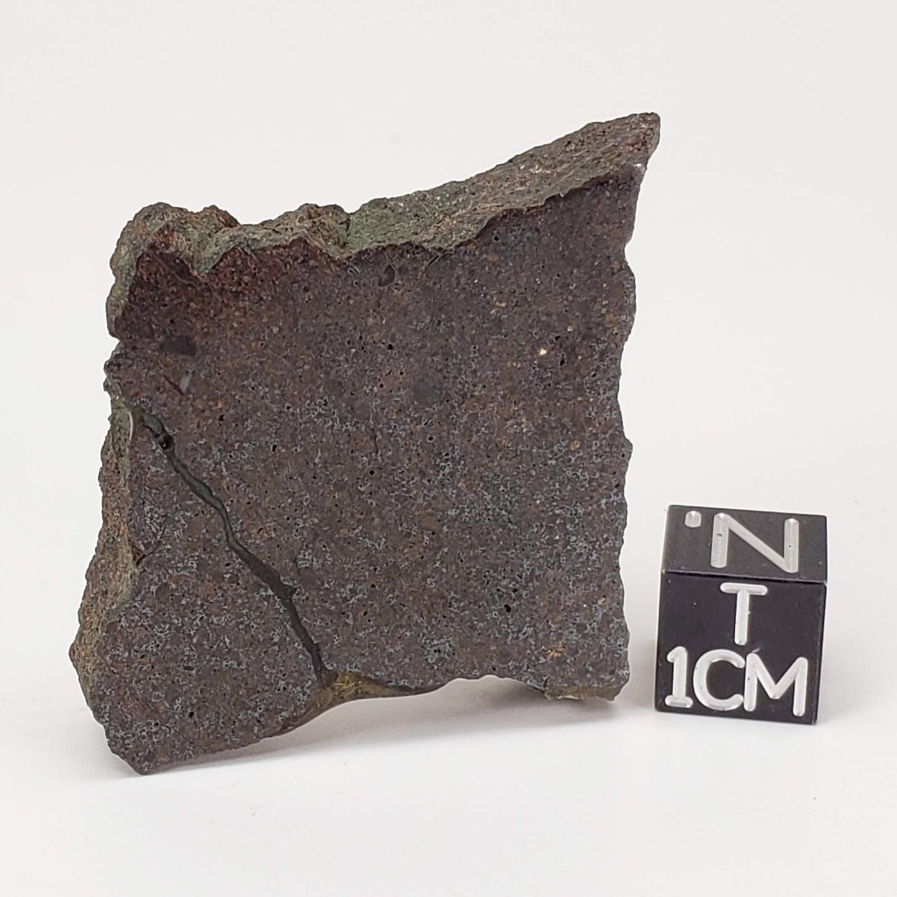  Dhofar 224 Meteorite | 23.2 Grams | Slice | Rare H4 Chondrite | Sahara 