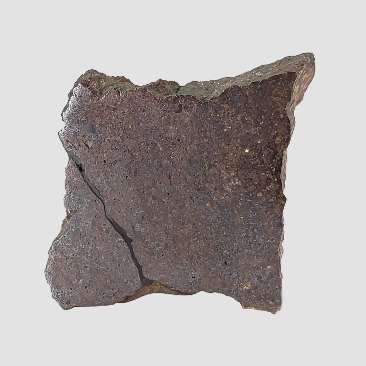Dhofar 224 Meteorite | 23.2 Grams | Slice | Rare H4 Chondrite | Sahara 2
