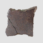 Dhofar 224 Meteorite | 23.2 Grams | Slice | Rare H4 Chondrite | Sahara 2