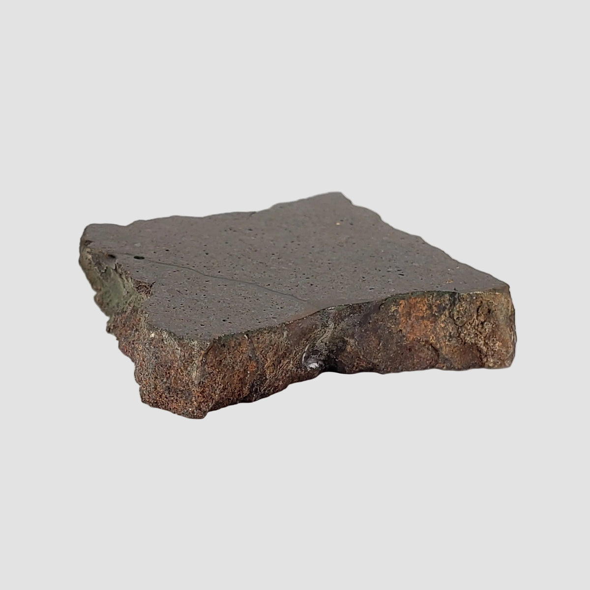  Dhofar 224 Meteorite | 23.2 Grams | Slice | Rare H4 Chondrite | Sahara 8