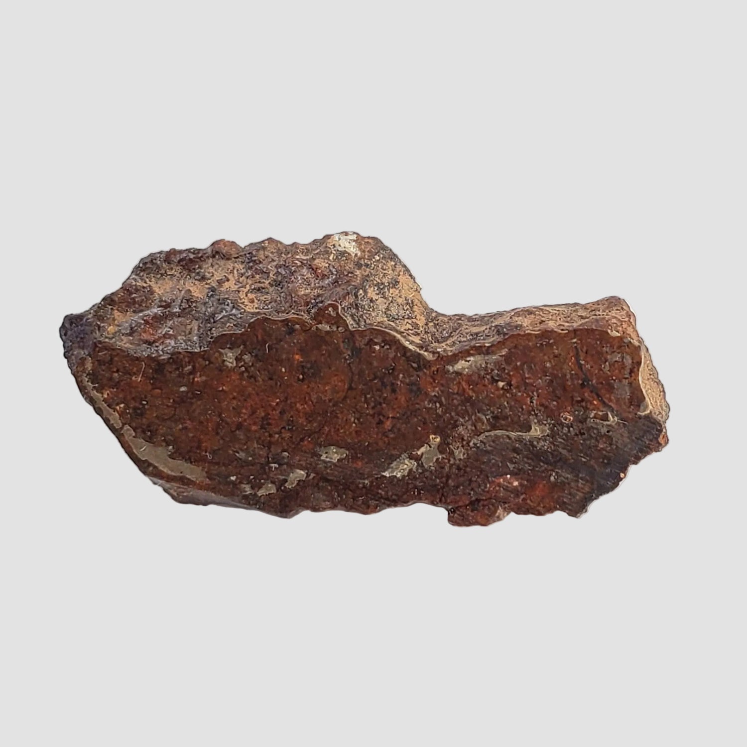  Dhofar 269 Meteorite | 2.34 Grams | Part Slice | H5 Chondrite | Oman 1
