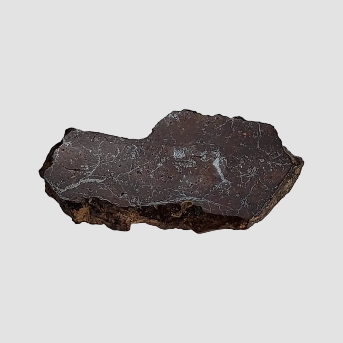  Dhofar 269 Meteorite | 2.34 Grams | Part Slice | H5 Chondrite | Oman 4