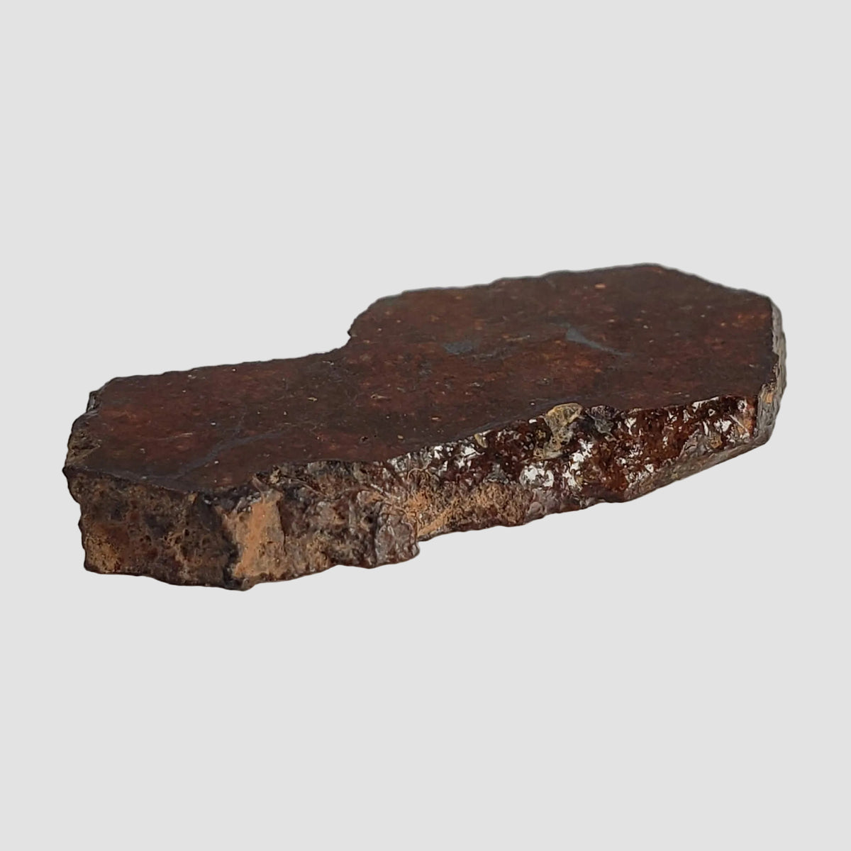  Dhofar 269 Meteorite | 2.34 Grams | Part Slice | H5 Chondrite | Oman 6