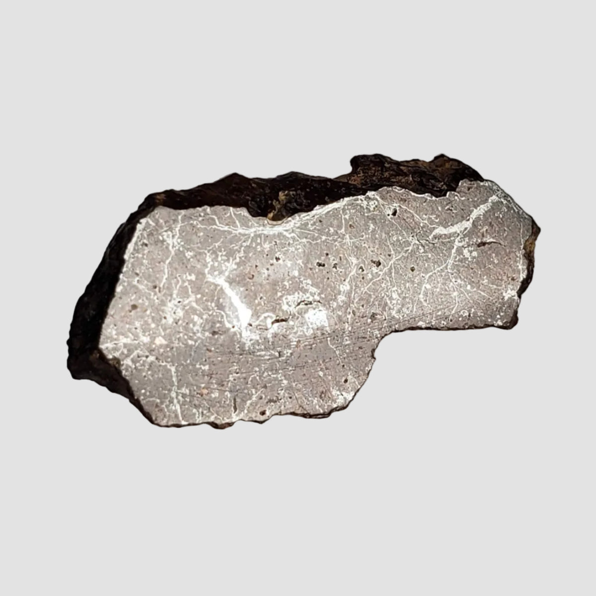  Dhofar 269 Meteorite | 2.34 Grams | Part Slice | H5 Chondrite | Oman 3