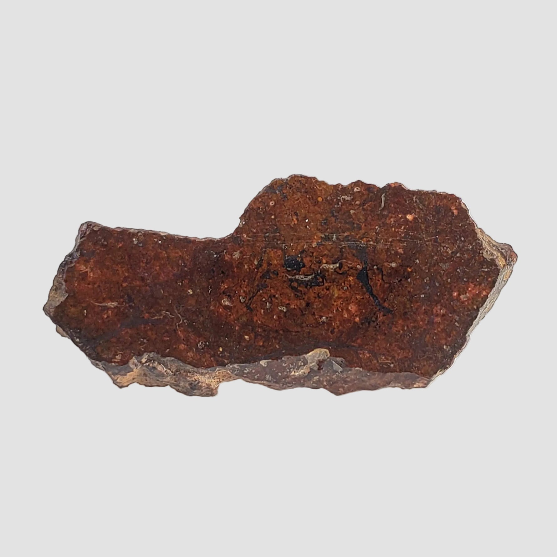  Dhofar 269 Meteorite | 2.34 Grams | Part Slice | H5 Chondrite | Oman 2