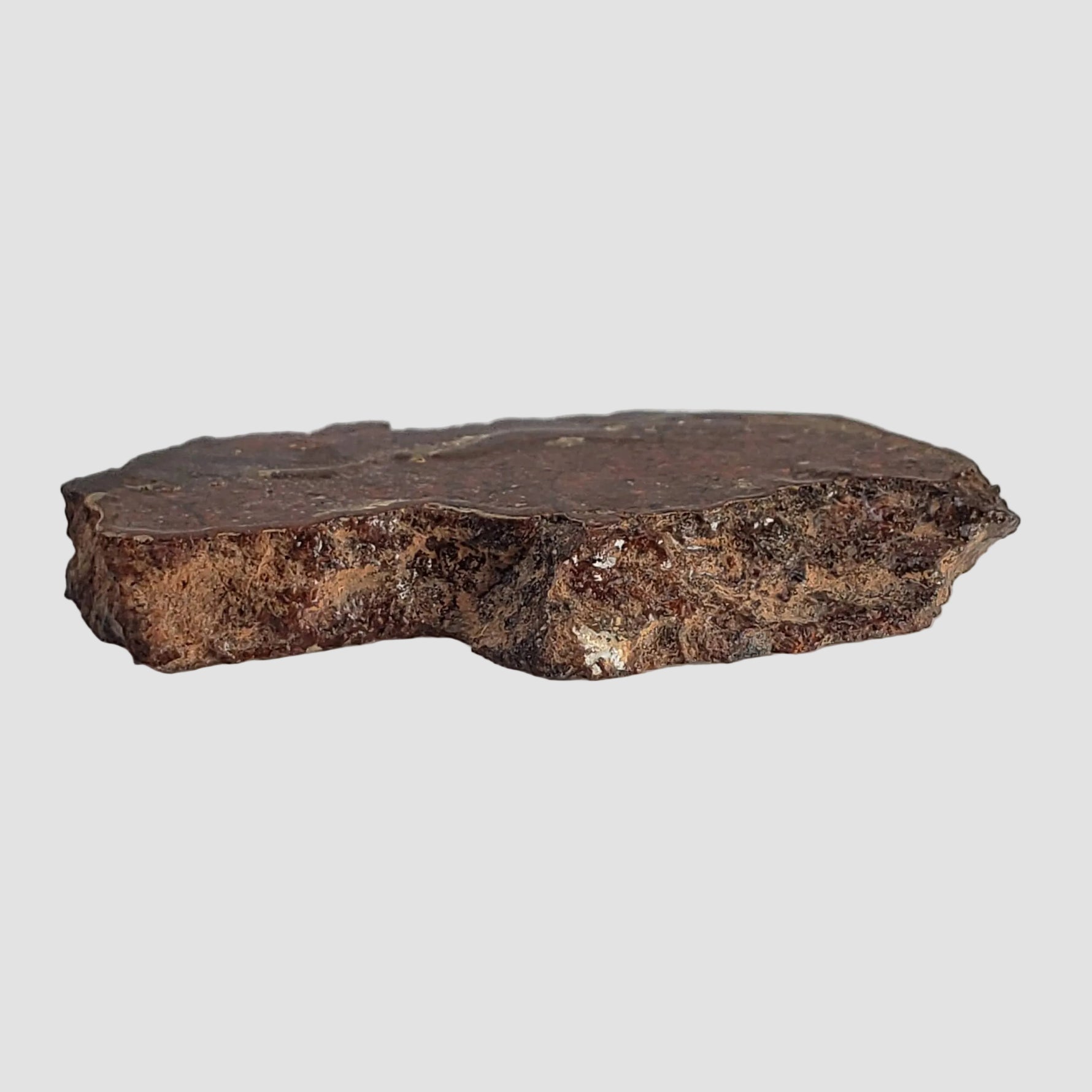 Dhofar 269 Meteorite | 2.34 Grams | Part Slice | H5 Chondrite | Oman 5