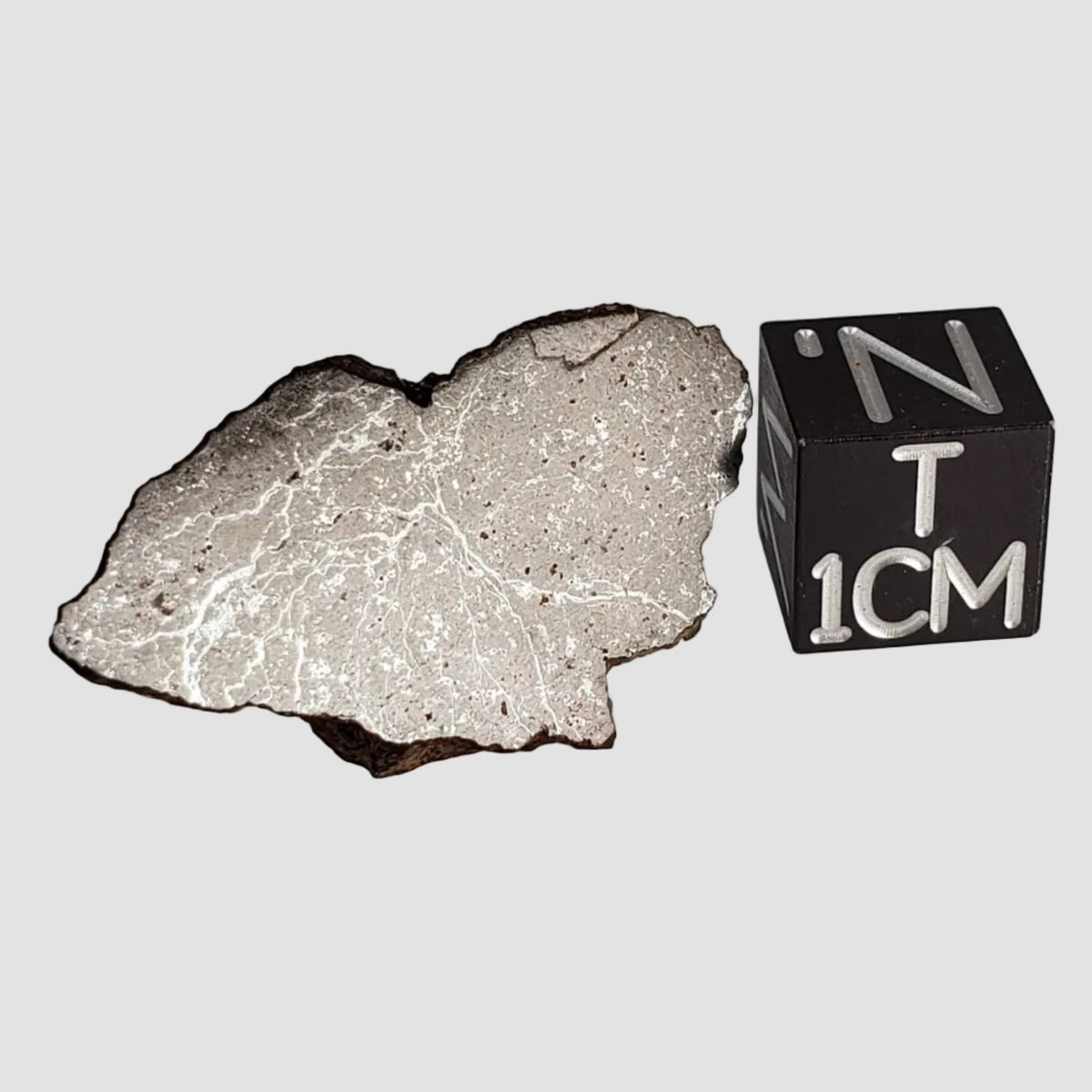  Dhofar 269 Meteorite | 2.67 Grams | End Cut | H5 Chondrite | Oman 