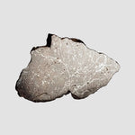  Dhofar 269 Meteorite | 2.67 Grams | End Cut | H5 Chondrite | Oman 2