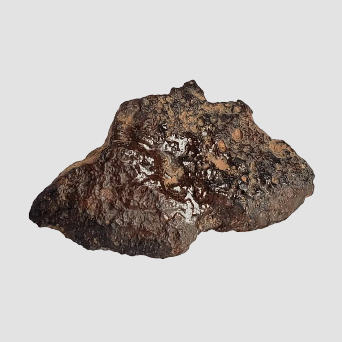  Dhofar 269 Meteorite | 2.67 Grams | End Cut | H5 Chondrite | Oman 1