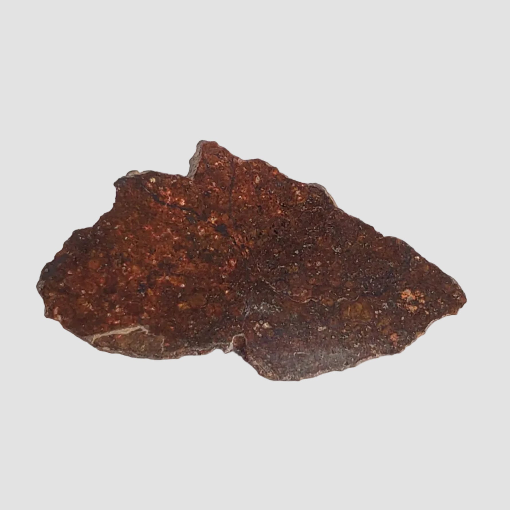  Dhofar 269 Meteorite | 2.67 Grams | End Cut | H5 Chondrite | Oman 4