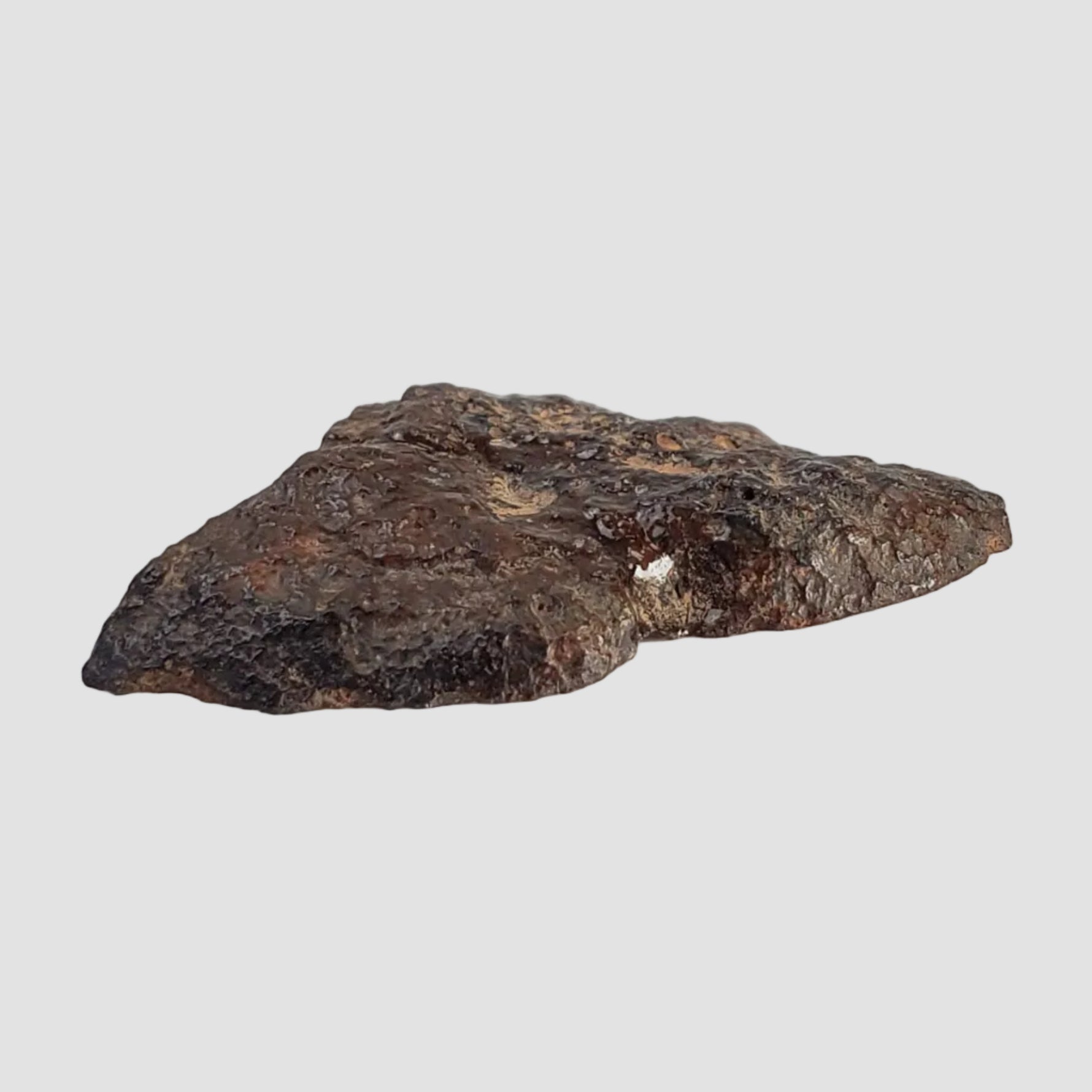  Dhofar 269 Meteorite | 2.67 Grams | End Cut | H5 Chondrite | Oman 5