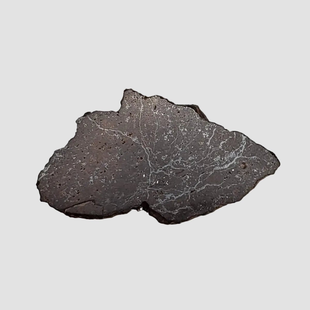 Dhofar 269 Meteorite | 2.67 Grams | End Cut | H5 Chondrite | Oman 3