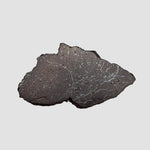  Dhofar 269 Meteorite | 2.67 Grams | End Cut | H5 Chondrite | Oman 3