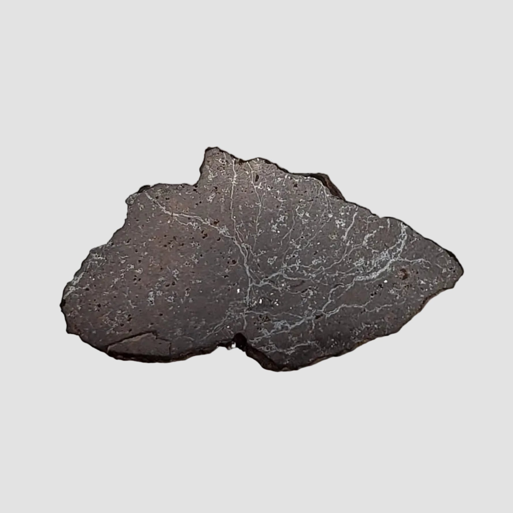  Dhofar 269 Meteorite | 2.67 Grams | End Cut | H5 Chondrite | Oman 3