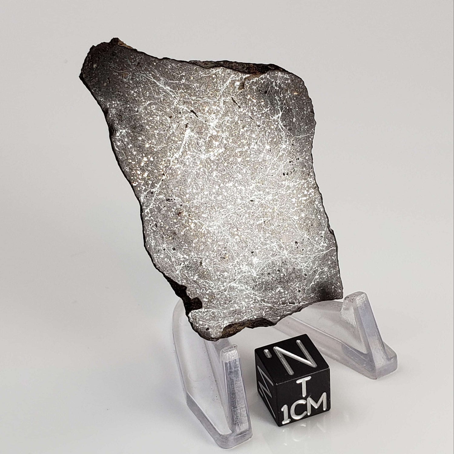  Dhofar 269 Meteorite | 23.56 Grams | Part Slice | H5 Chondrite | Oman 0