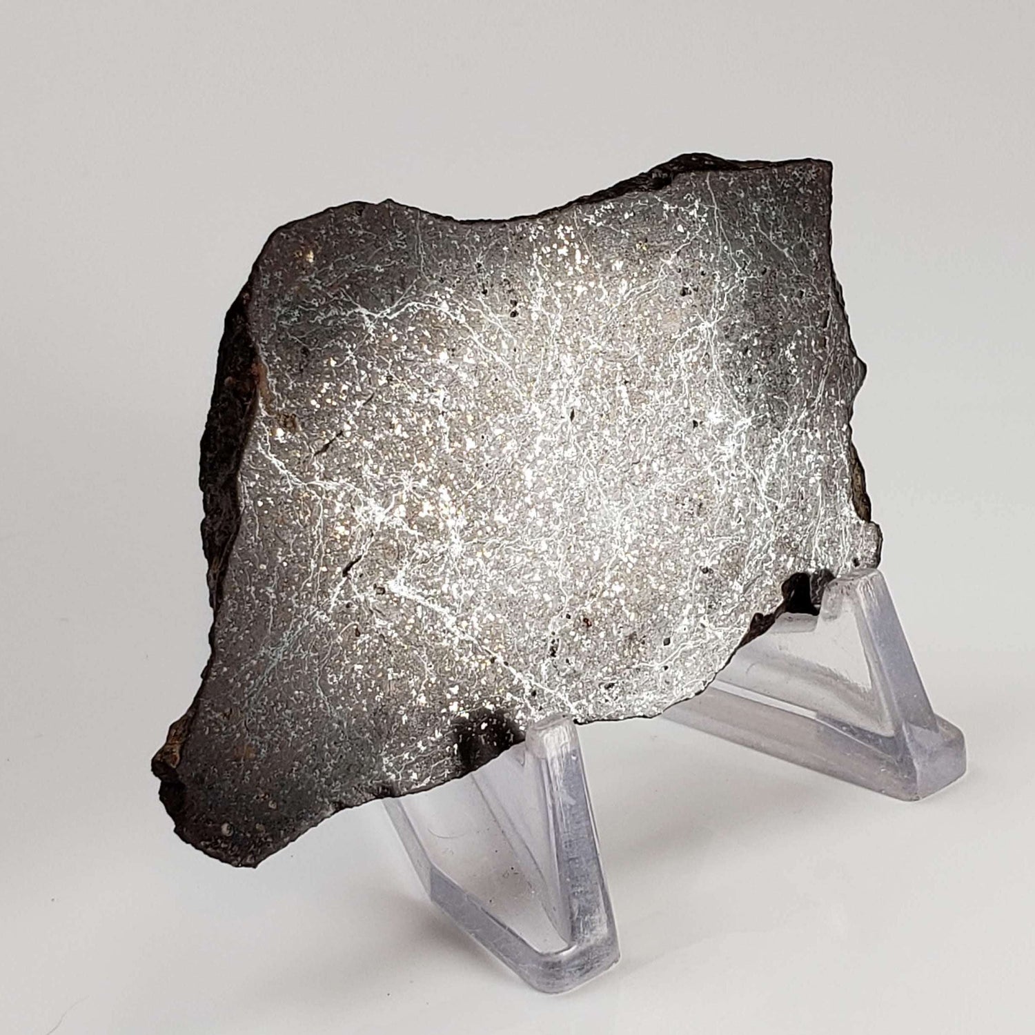 Dhofar 269 Meteorite | 23.56 Grams | Part Slice | H5 Chondrite | Oman 0