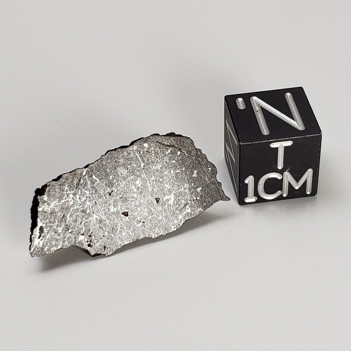  Dhofar 273 Meteorite | 1.8 Grams | Part End Cut | L5 Chondrite | Sahara | SO24 