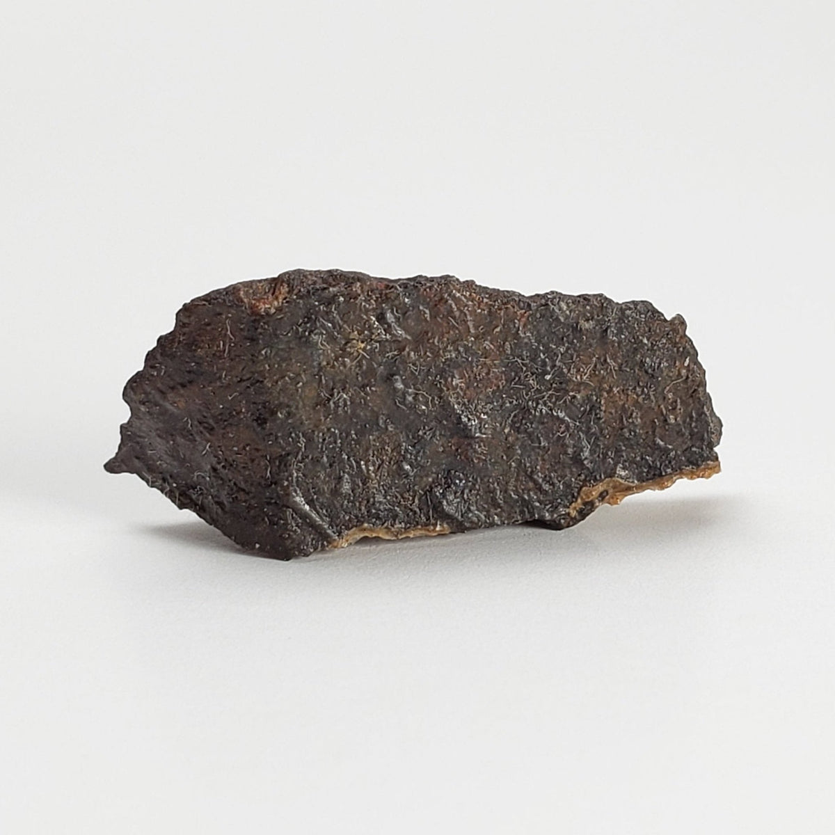  Dhofar 273 Meteorite | 1.8 Grams | Part End Cut | L5 Chondrite | Sahara | SO24 1