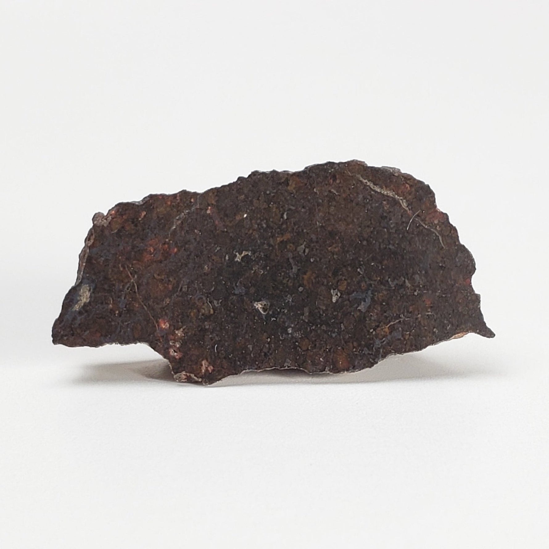  Dhofar 273 Meteorite | 1.8 Grams | Part End Cut | L5 Chondrite | Sahara | SO24 2