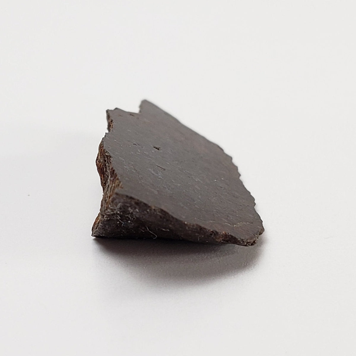  Dhofar 273 Meteorite | 1.8 Grams | Part End Cut | L5 Chondrite | Sahara | SO24 3