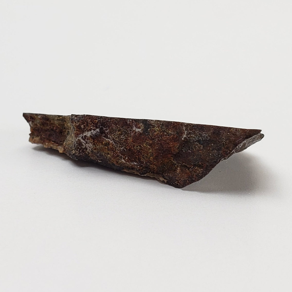  Dhofar 273 Meteorite | 1.8 Grams | Part End Cut | L5 Chondrite | Sahara | SO24 4