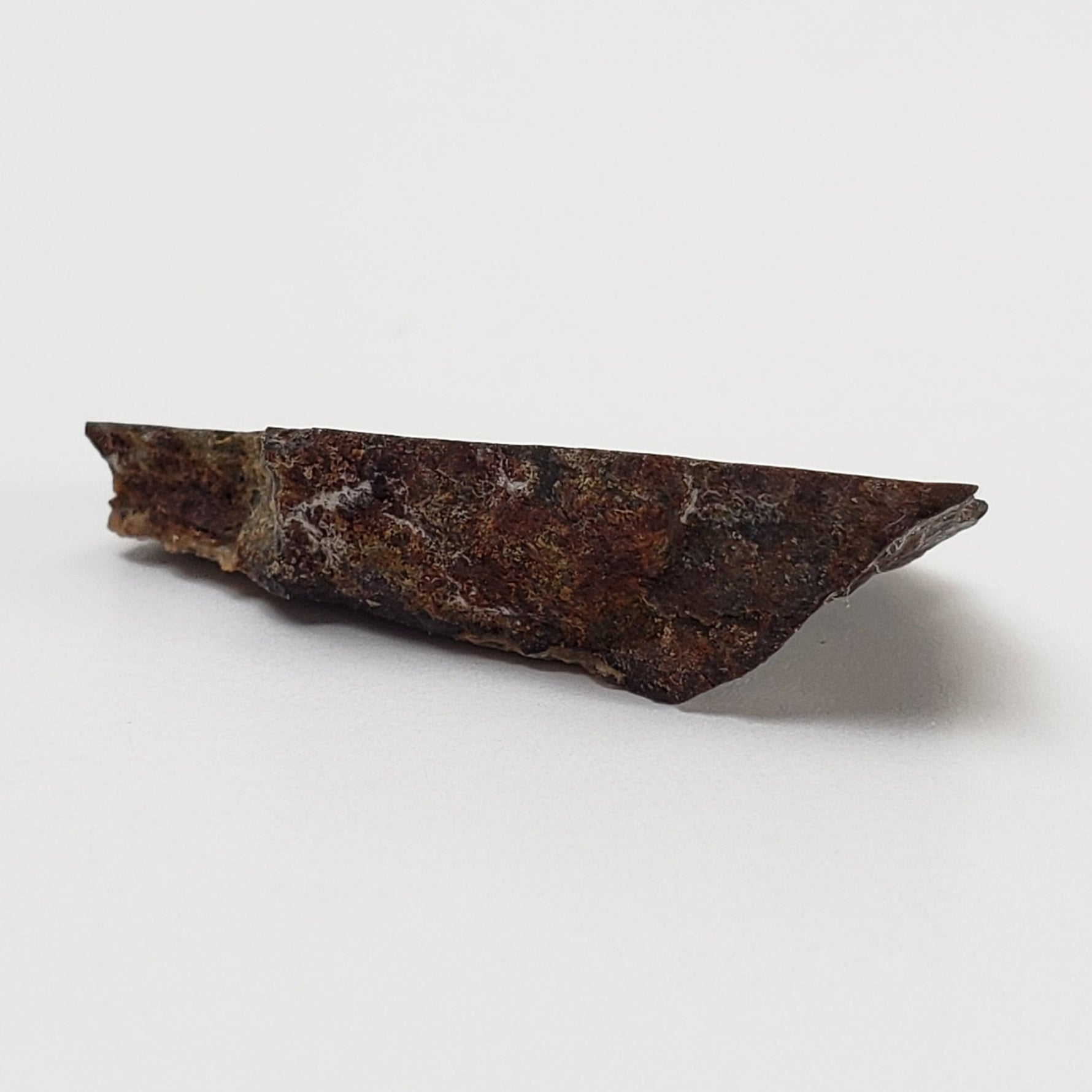  Dhofar 273 Meteorite | 1.8 Grams | Part End Cut | L5 Chondrite | Sahara | SO24 4