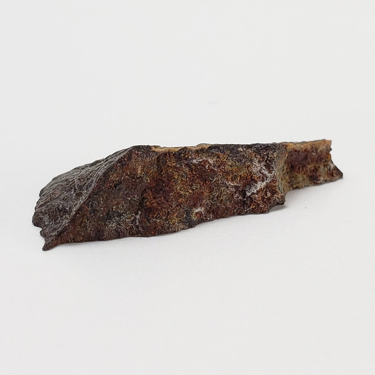  Dhofar 273 Meteorite | 1.8 Grams | Part End Cut | L5 Chondrite | Sahara | SO24 5