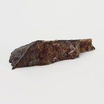  Dhofar 273 Meteorite | 1.8 Grams | Part End Cut | L5 Chondrite | Sahara | SO24 5