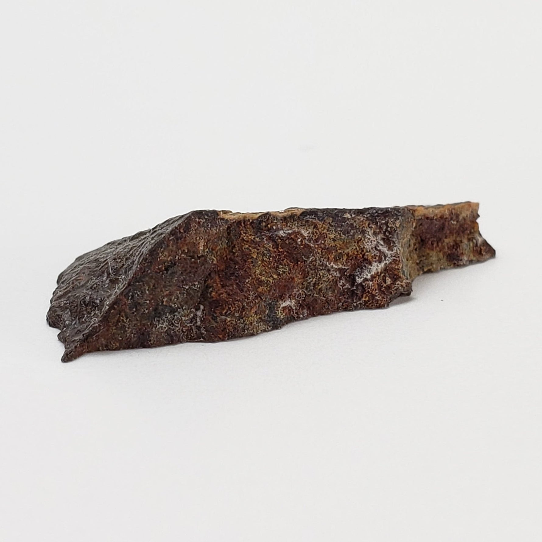  Dhofar 273 Meteorite | 1.8 Grams | Part End Cut | L5 Chondrite | Sahara | SO24 5