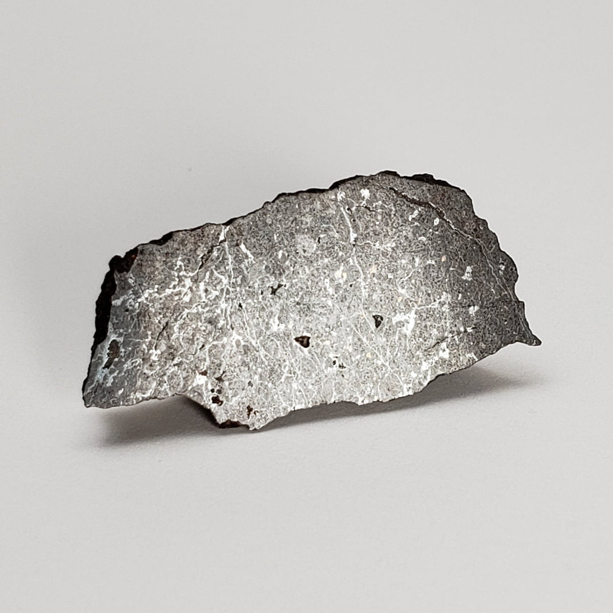  Dhofar 273 Meteorite | 1.8 Grams | Part End Cut | L5 Chondrite | Sahara | SO24 6