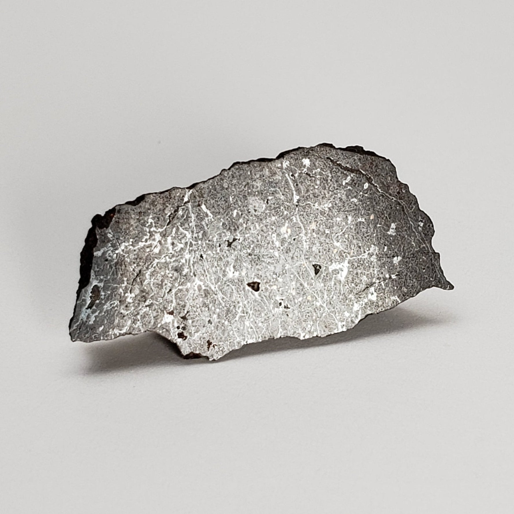  Dhofar 273 Meteorite | 1.8 Grams | Part End Cut | L5 Chondrite | Sahara | SO24 6