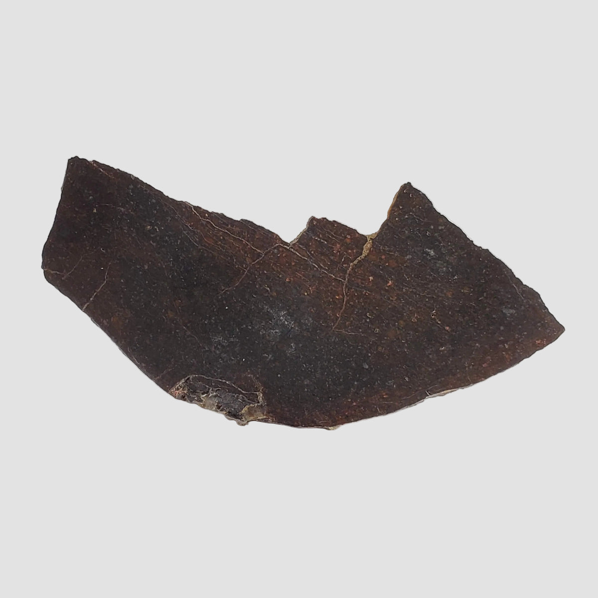  Dhofar 273 Meteorite | 25.4 Grams | Slice | L5 Chondrite | Sahara 2