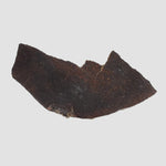  Dhofar 273 Meteorite | 25.4 Grams | Slice | L5 Chondrite | Sahara 2