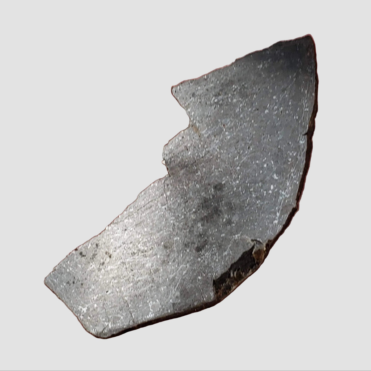  Dhofar 273 Meteorite | 25.4 Grams | Slice | L5 Chondrite | Sahara 4