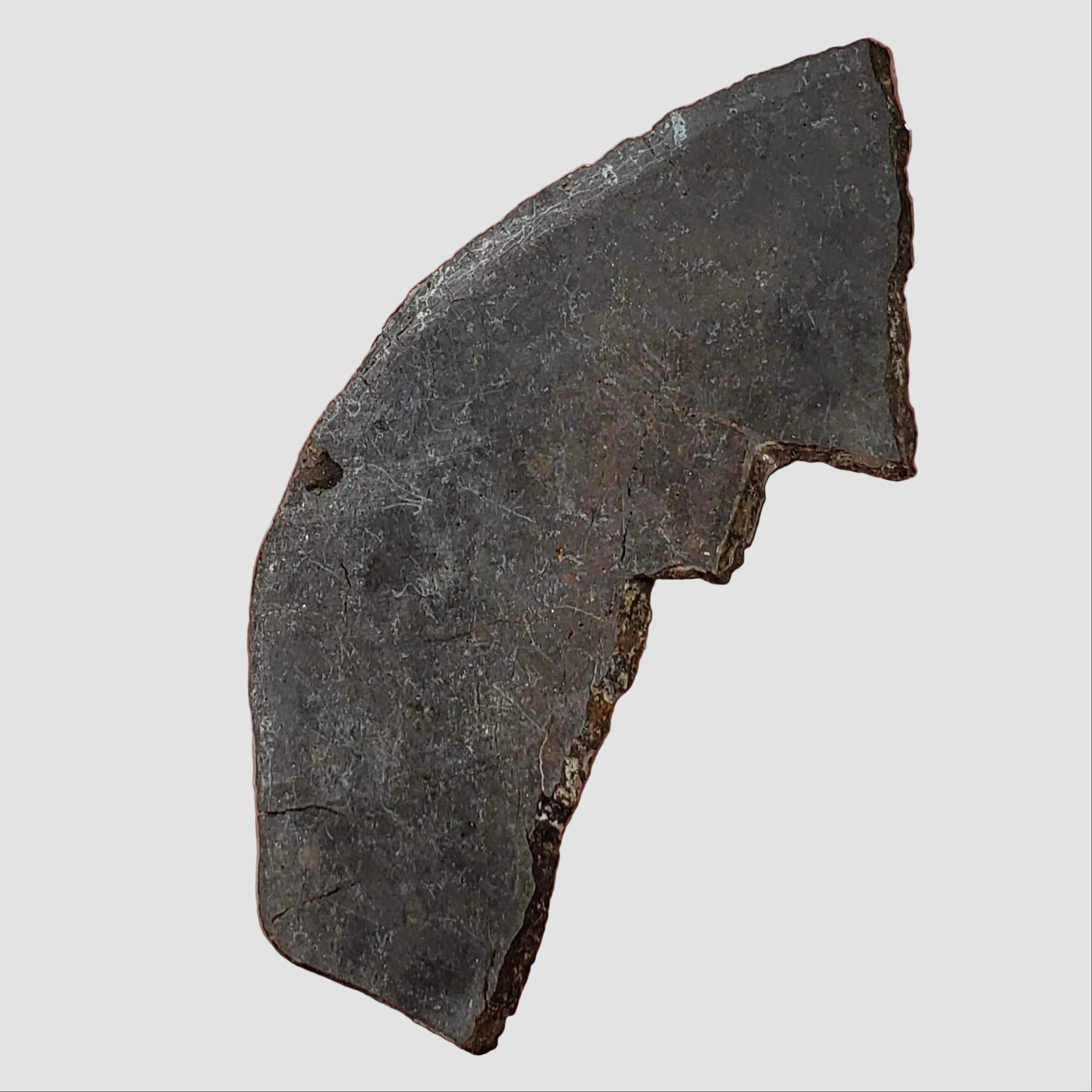  Dhofar 273 Meteorite | 25.4 Grams | Slice | L5 Chondrite | Sahara 1